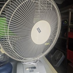 Fan