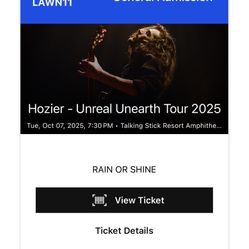 Hozier 