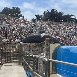 Cheap Sea World Tickets …Hot Weekend