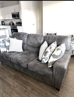 Gray Pull Out Couch