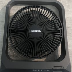Fan