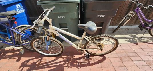 Roadmaster Mtn Sport Bike