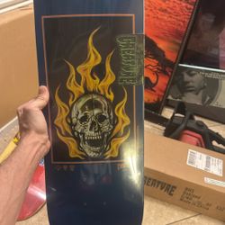 Creature Bonehead Eternal LG 8.5” Skate Deck 