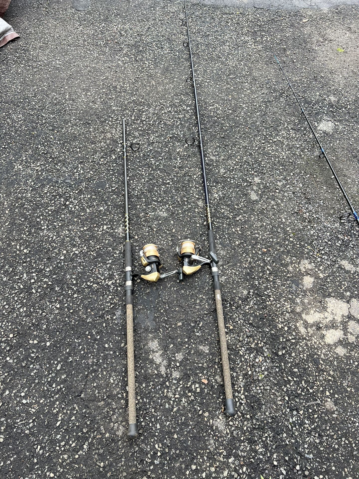 Surfing Fishing Rods