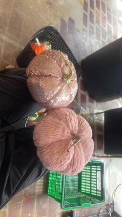 Two pink plush pumpkins