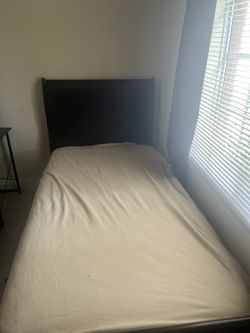 Twin bed no mattress
