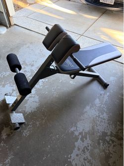 Exercise Bench Stamina