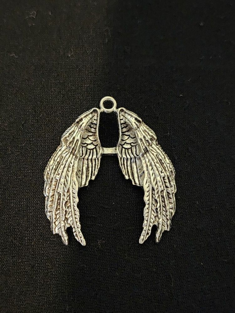 Wings Charm