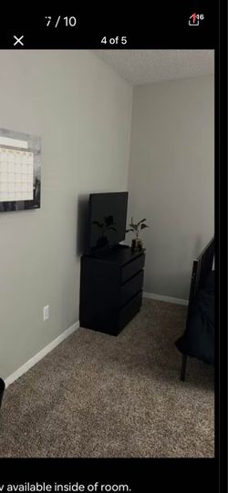 Brown/Black
