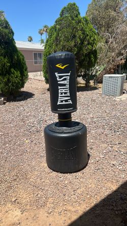Everlast boxing bag