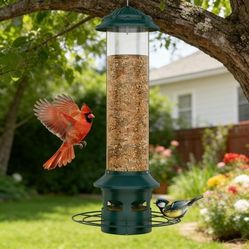 Bird Feeder 