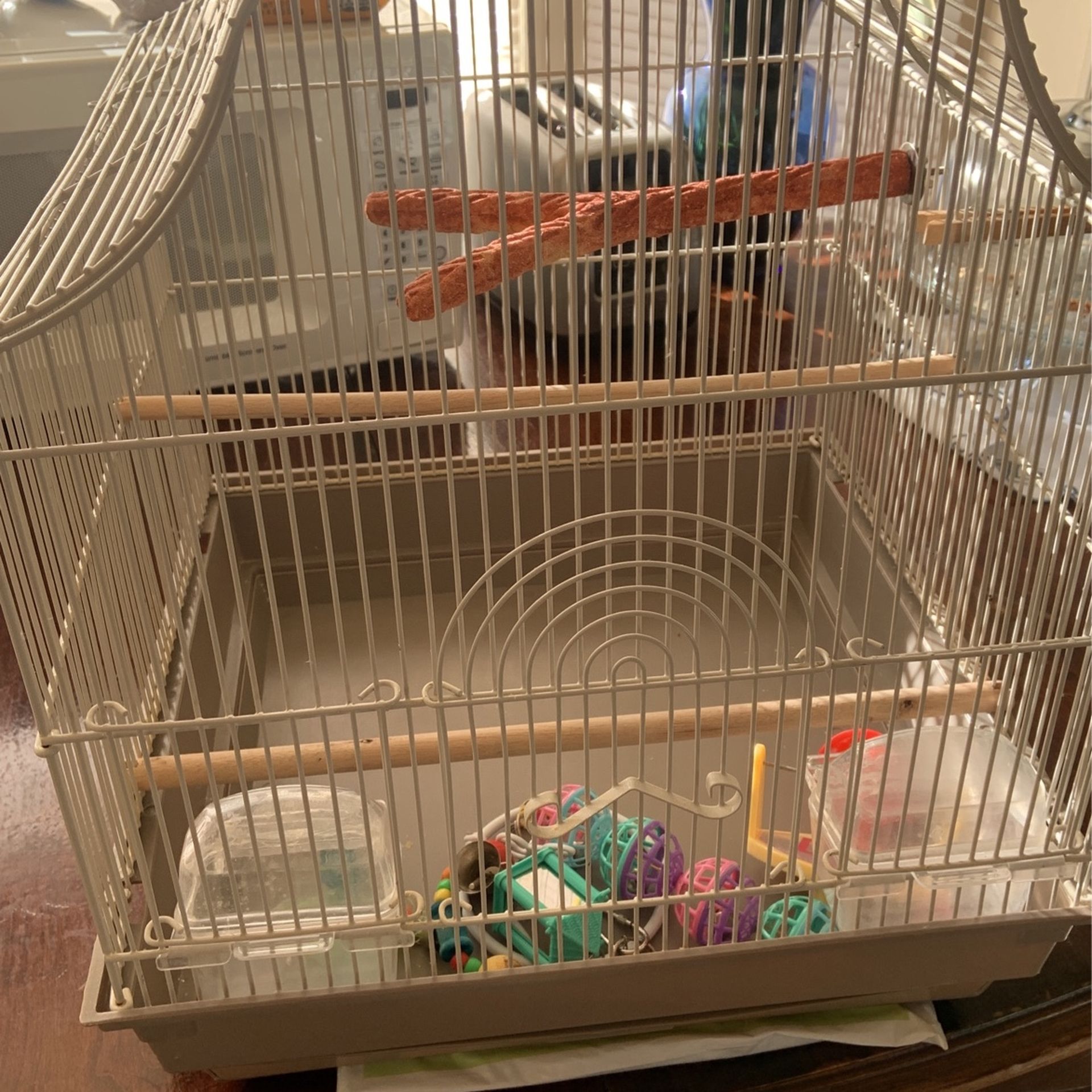 Bird Cage, Food and accessories