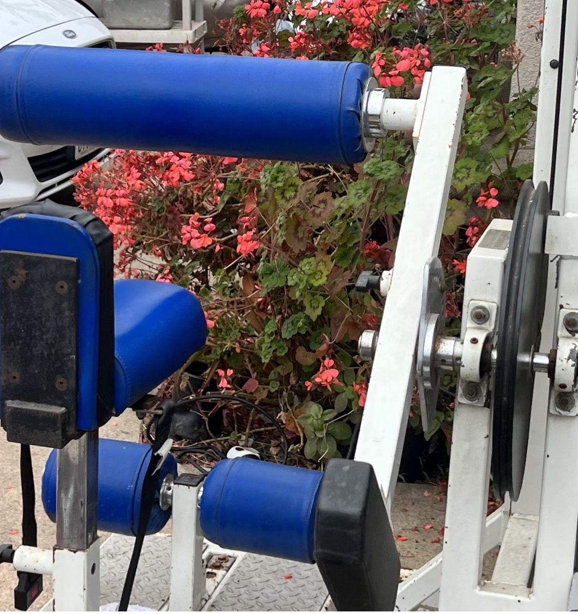 pro gym equipment 250 pounds