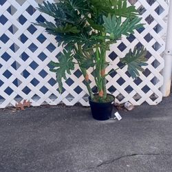 New Designer Silk Bamboo Plant Very R Looks ReL