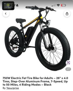 750W Electric fat tire bike bike