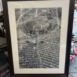 Rose Bowl Picture