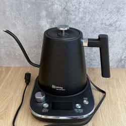 Electric Kettle With Temperature Control