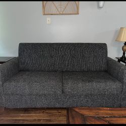 Pull Out Couch