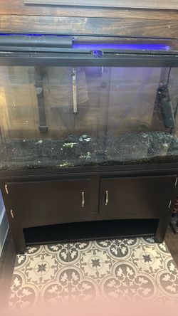Fish tank