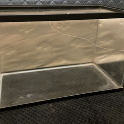 5.5 gallon Fisk tank