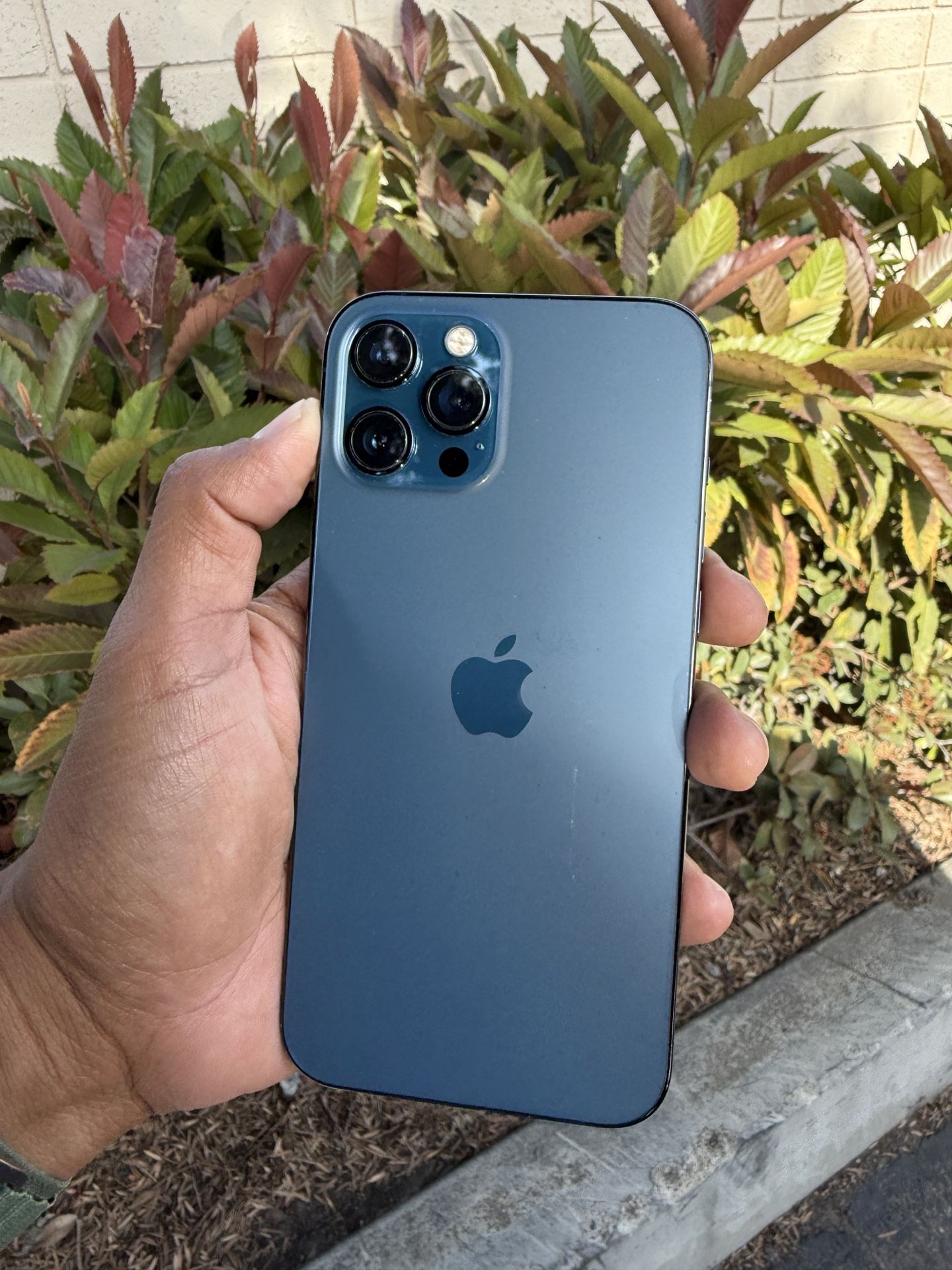 Iphone 12 Pro Max 512Gb Unlocked Any Carrier