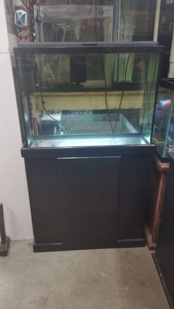 Fish tank