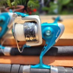 Fishing pole and reel