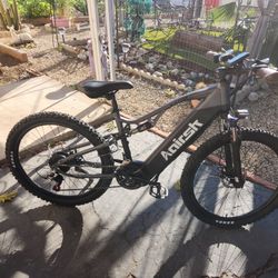 Electric Bike