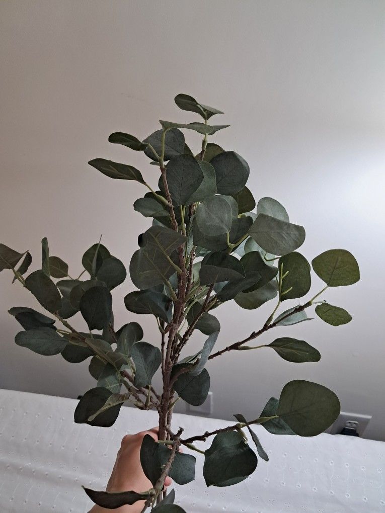 Ikea faux eucalyptus (3 branches)