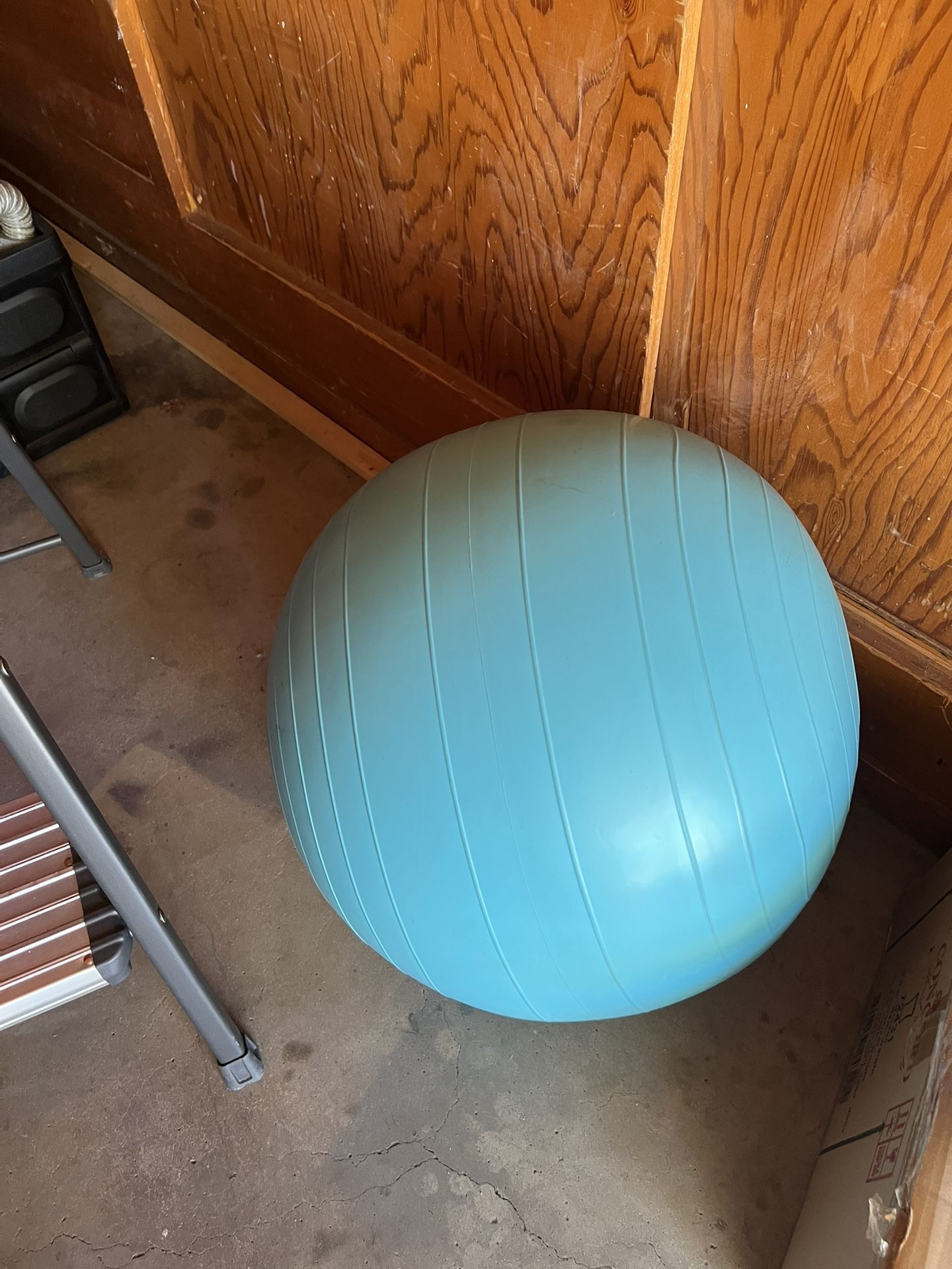 Balance Ball Sports 63”