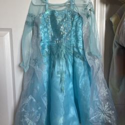 Disney Frozen Costume Dress Size 4T