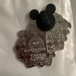 Disney Parks Pin