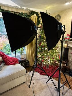 Westcott Spiderlite TD5 2-light Studio Softbox Kit