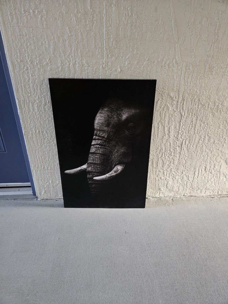 Elephant Canvas