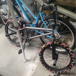 Elite BMX Bike