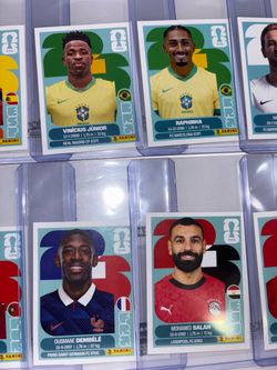 Pannia World Cup