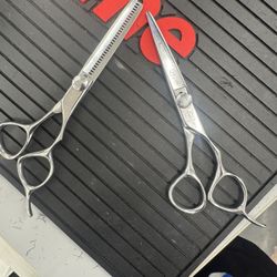 Mizutani Shears 