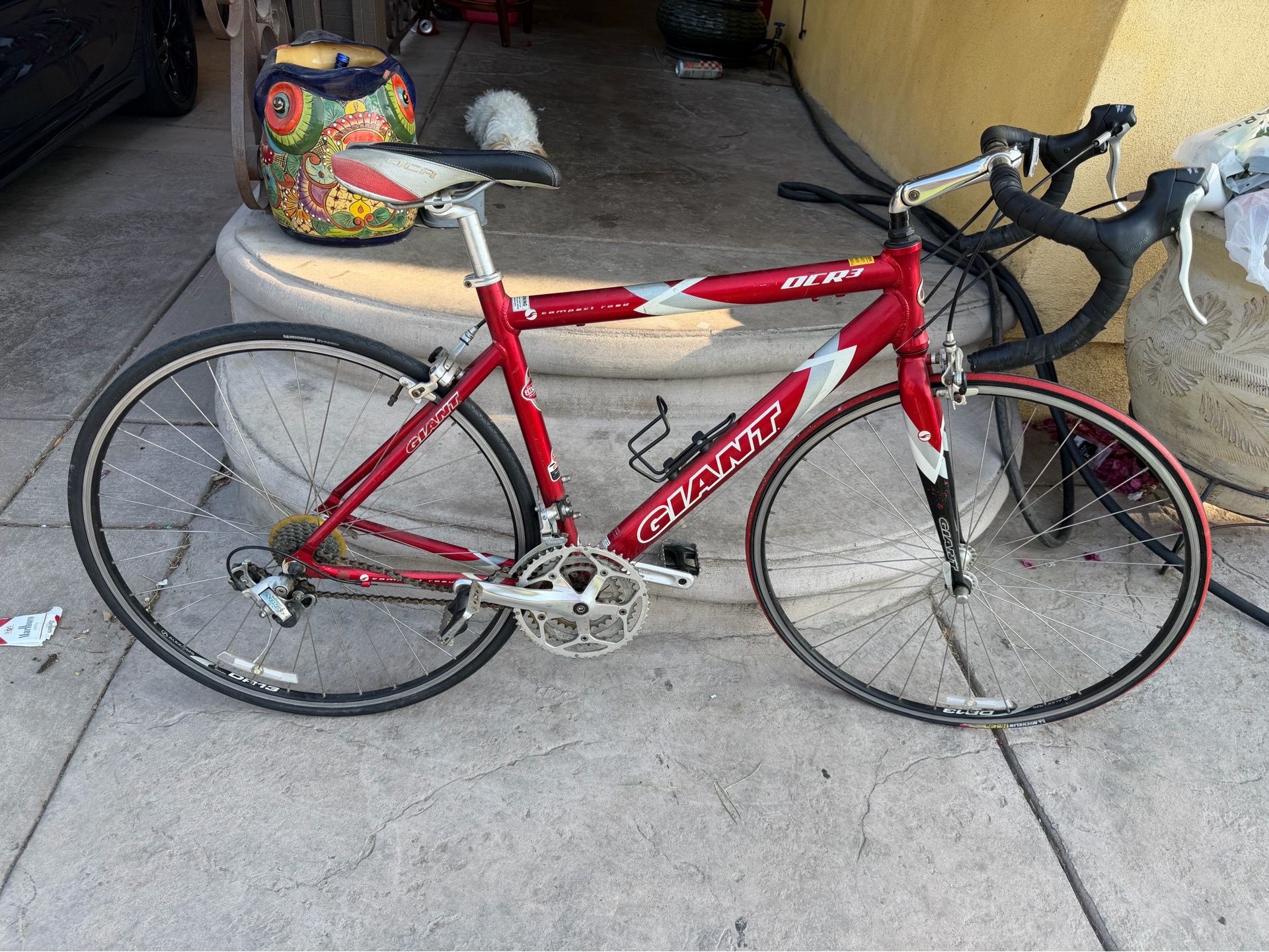 OCR3 Giant bicycle