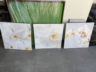 Three Canvas Pictures 