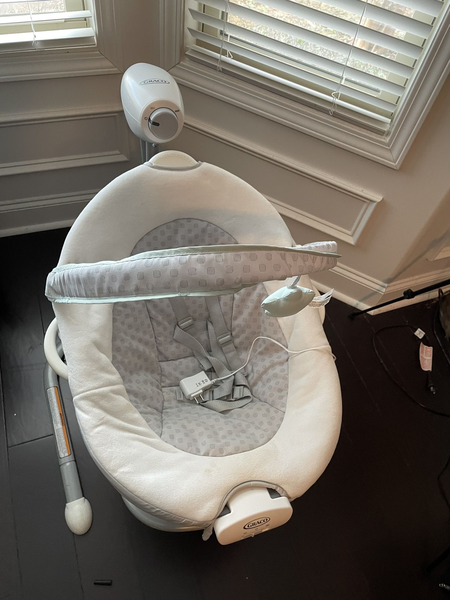 Used Graco Swing