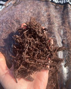 Fresh Mulch Just In!! Pickup And Delivery