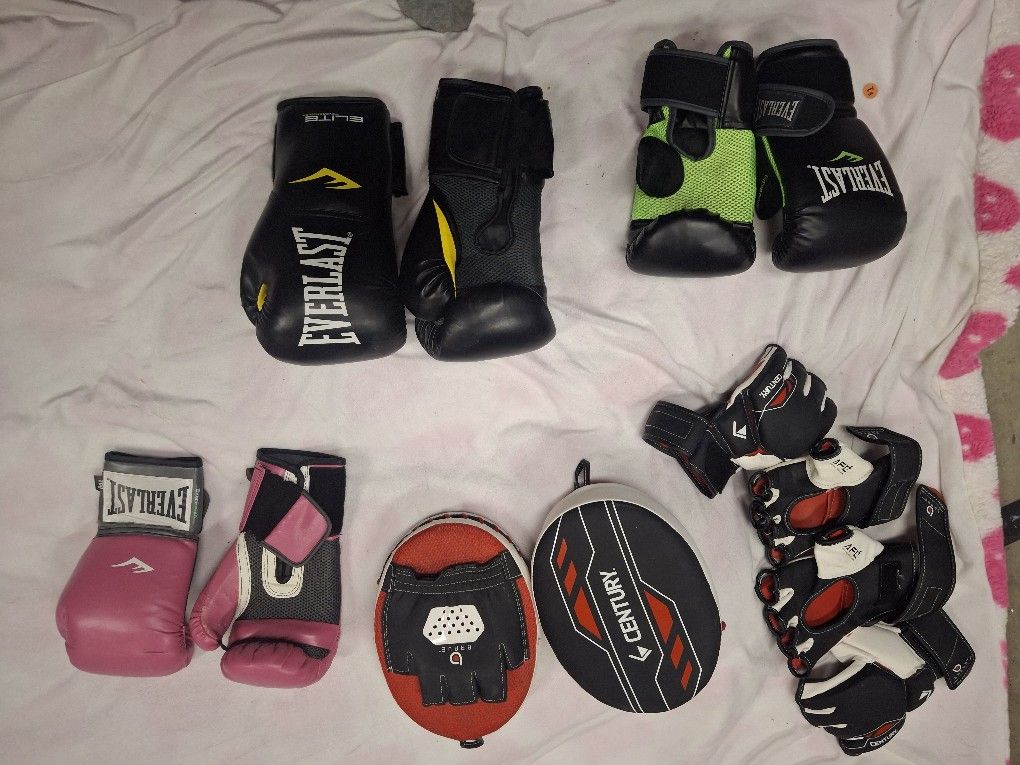 Everlast Boxing Gloves