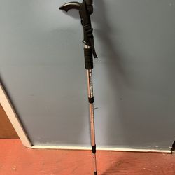 Cane with Light
