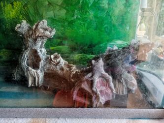 Assorted aquarium ornaments