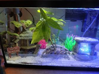 Aquariums/pet Supplies