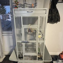 Bird Cage