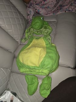 Turtle costume