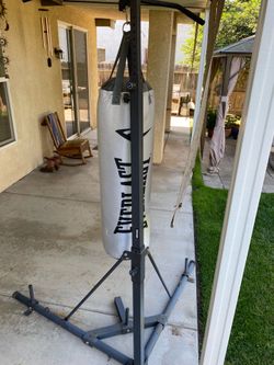Everlast punch bag and gloves