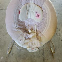 Baby Bouncer