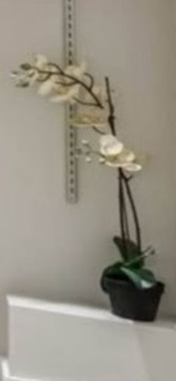 Artificial White Orchid in Black Pot